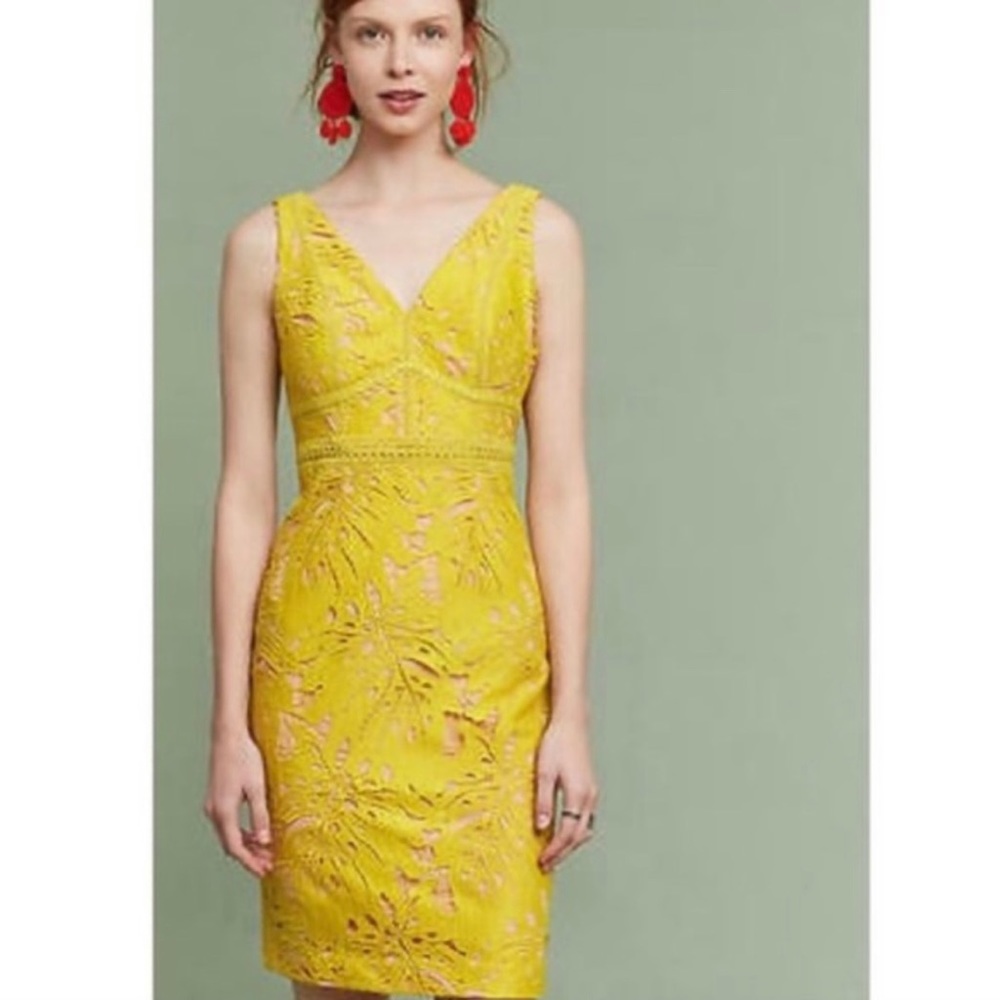 Anthropologie MAEVE Yellow Gold Gardenia Collin Lace Dress — Size 8 NWT